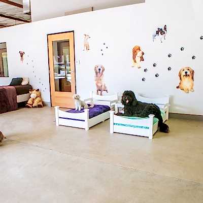 Pet Otel