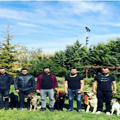 KÖPEK EĞİTMENLERİ AKADEMİSİ