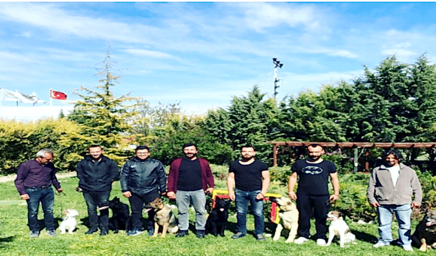 KÖPEK EĞİTMENLERİ AKADEMİSİ
