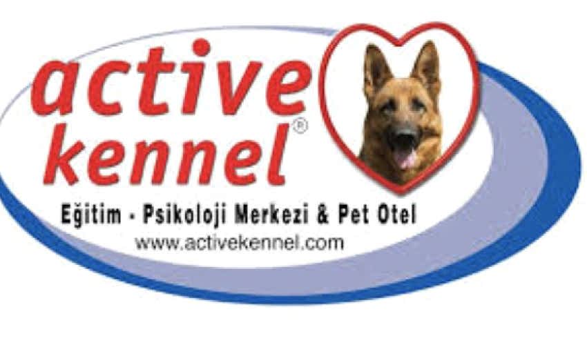 Hakkımızda